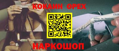 прущие грибы Можга