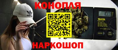 spice Моздок