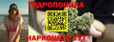 прущие грибы Можга